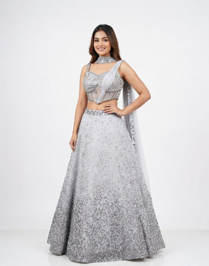 Moonlit Silver Sequin Lehenga Set